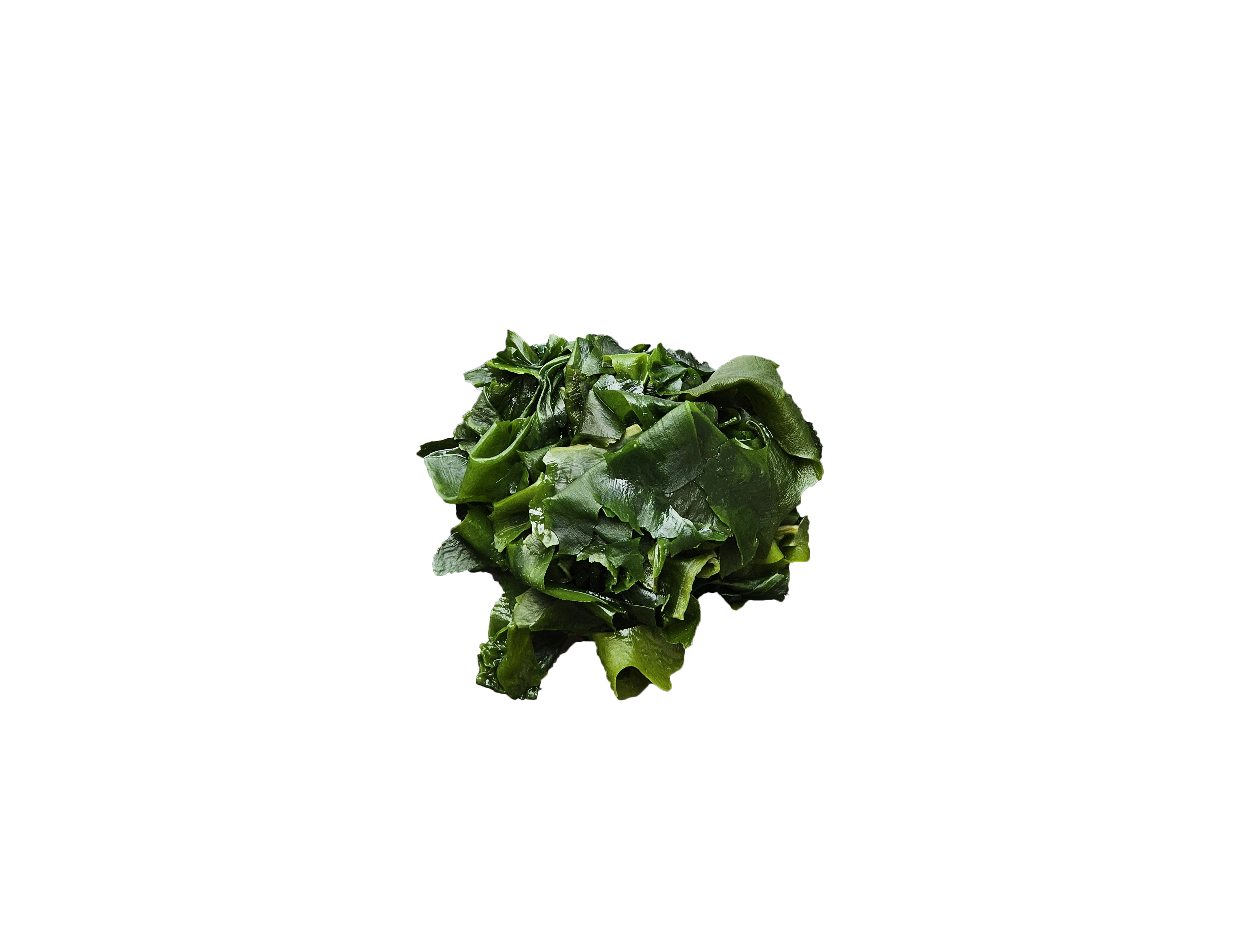 Cooked Chrysanthemum